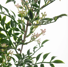 Load image into Gallery viewer, Artificial Seed Spray - Green Pink