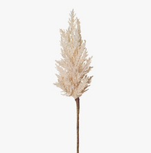 Load image into Gallery viewer, Plume Grass Spray
