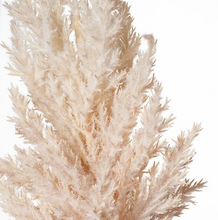 Load image into Gallery viewer, Plume Grass Spray
